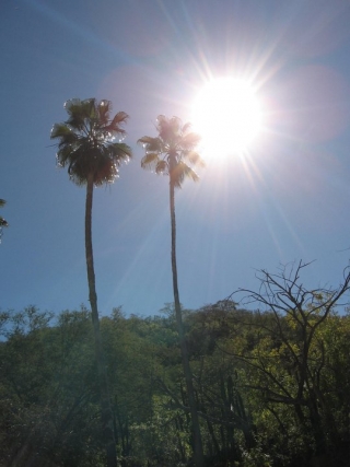  Biosfera Sierra La Laguna 